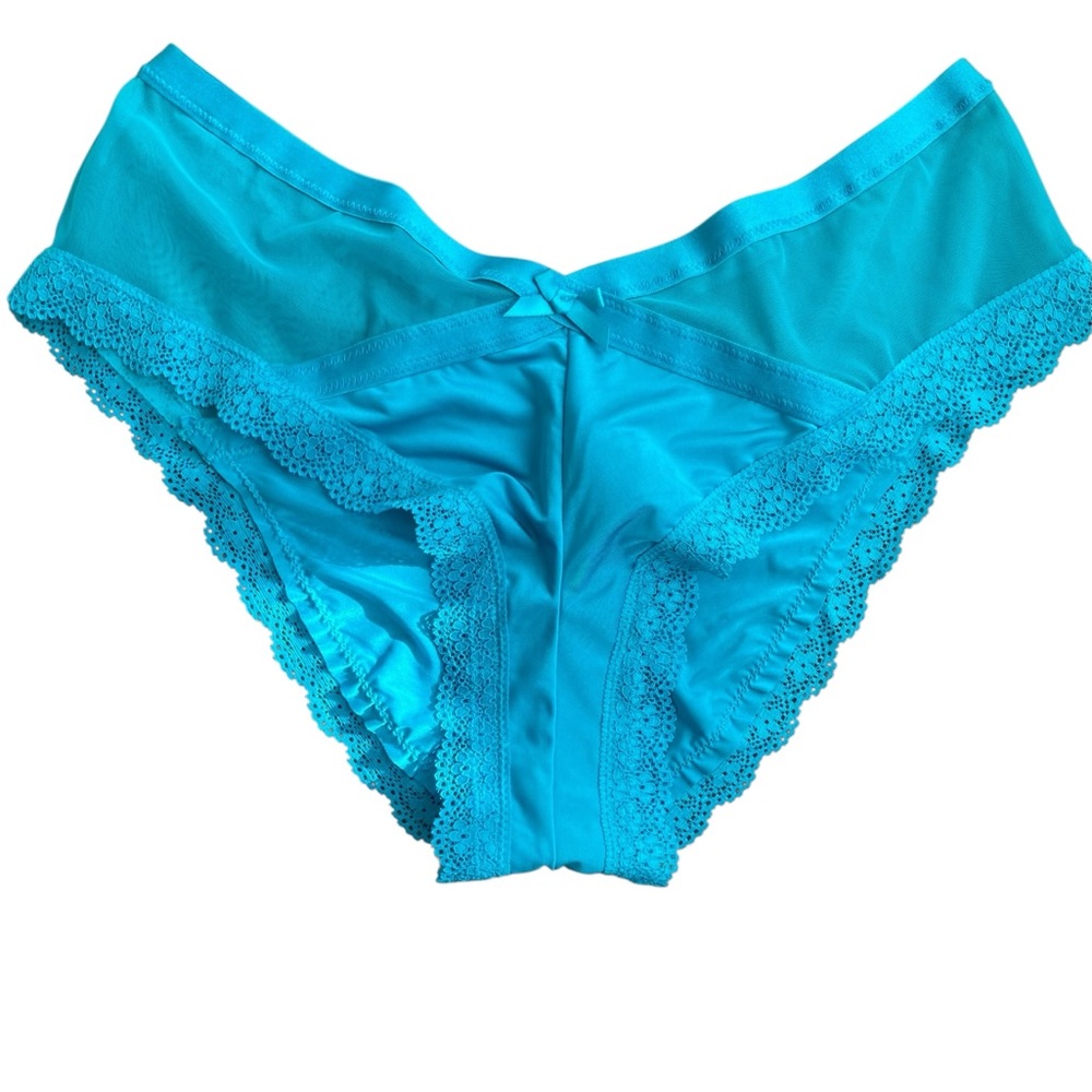 🌸New🌸 Victoria’s Secret cheeky panty silky mesh lace trim NWT Size Large